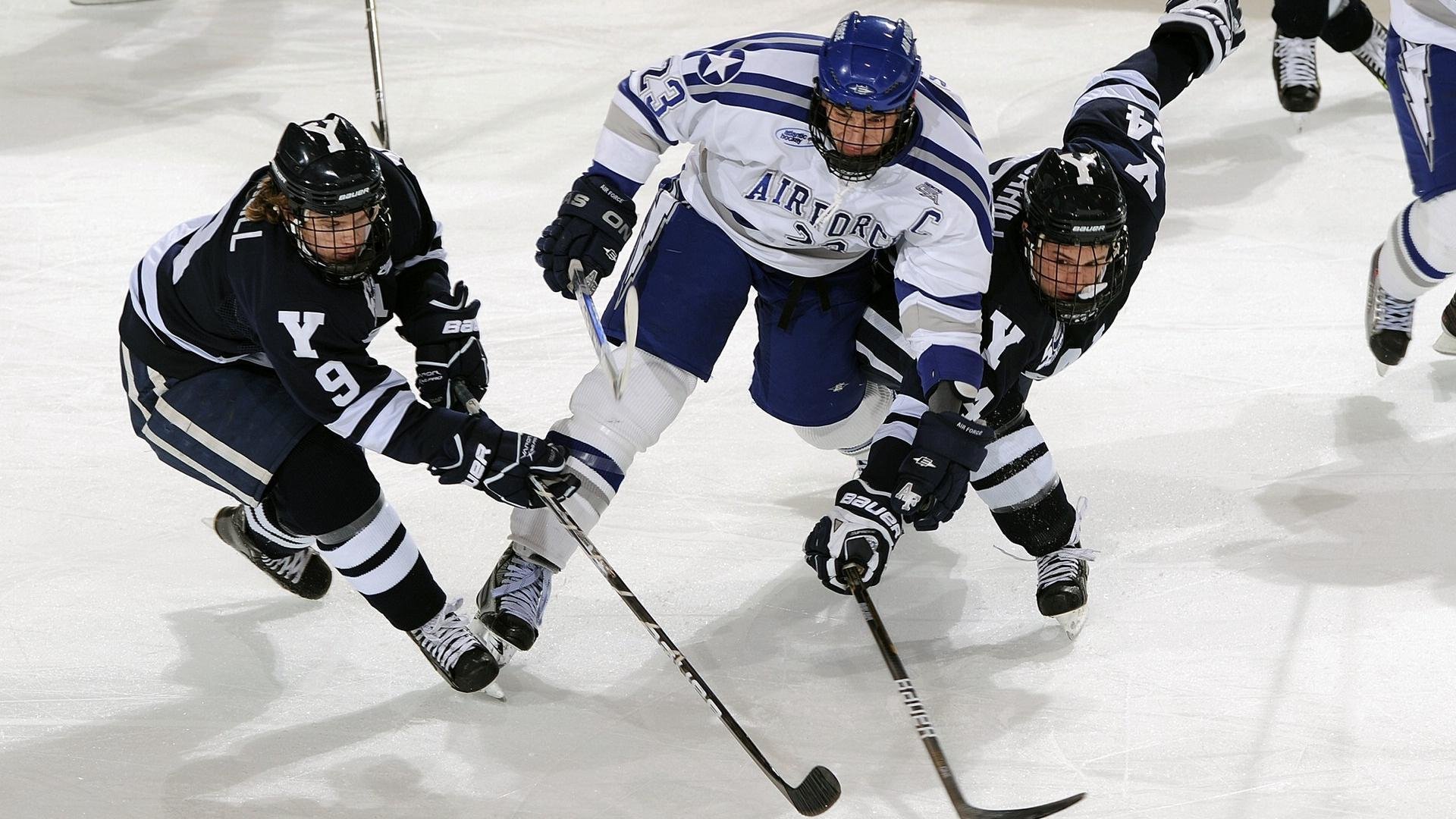 谢菲联在英冠联赛中获得冠军，升入英超，英冠谢菲尔德联